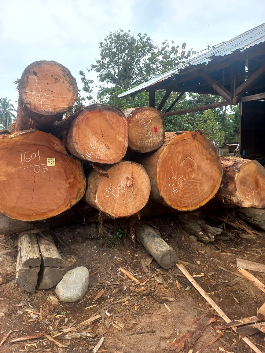 Premium Wood Products